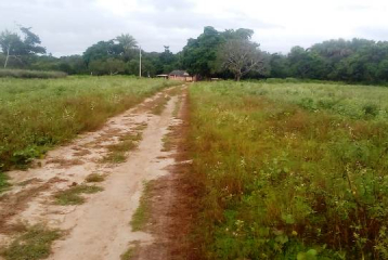 Fazenda 25.200 ha s. Felix do Araguaia